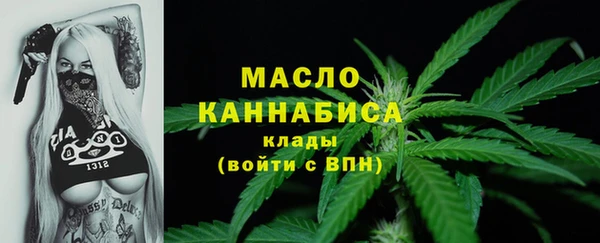 прущий лед Вяземский