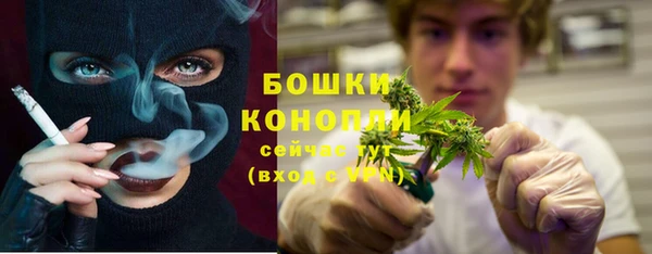 прущий лед Вяземский