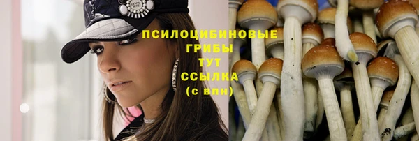 бошки Вязники
