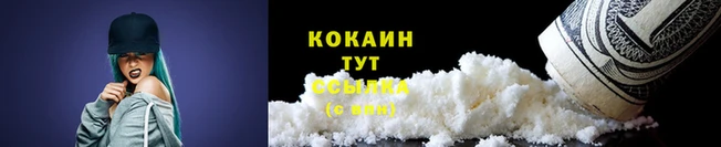 прущий лед Вяземский