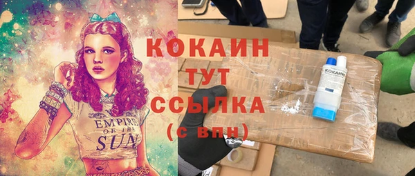прущий лед Вяземский