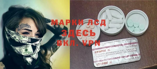 прущий лед Вяземский